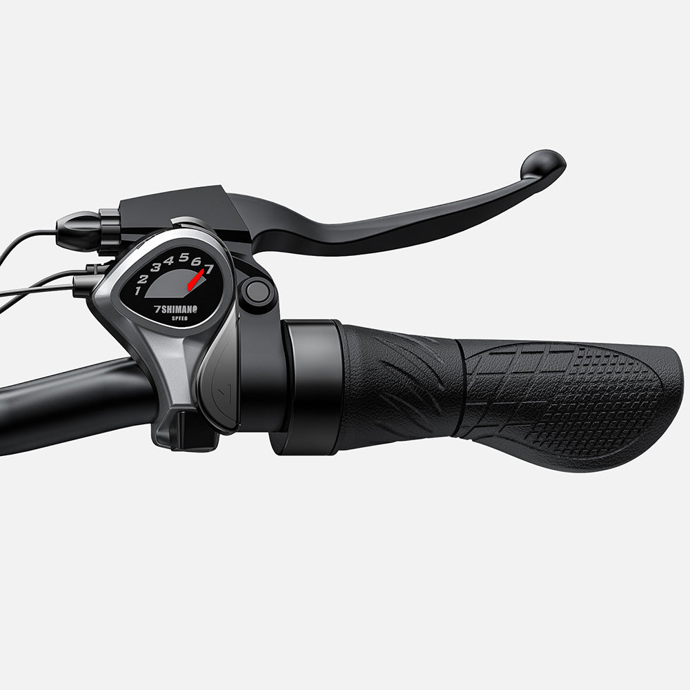 Engwe E26 ST 250W 26" Fat Bike Electric Trekking Bike 48V 16Ah E-bike SUV E-Bike