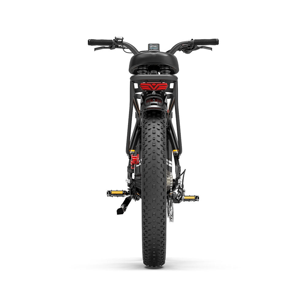 Lankeleisi MG600 Plus * 2 E-Bikes Bundle