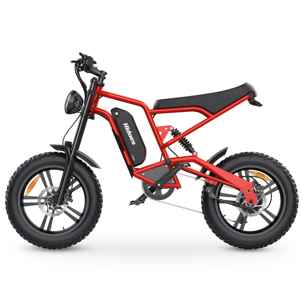 Hidoes B6 1200W 20" Fat Bike Electric Bike 48V 15Ah Battery