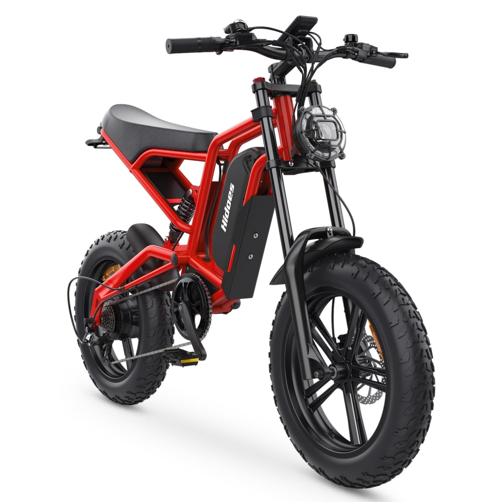 Hidoes B6 1200W 20" Fat Bike Electric Bike 48V 15Ah Battery