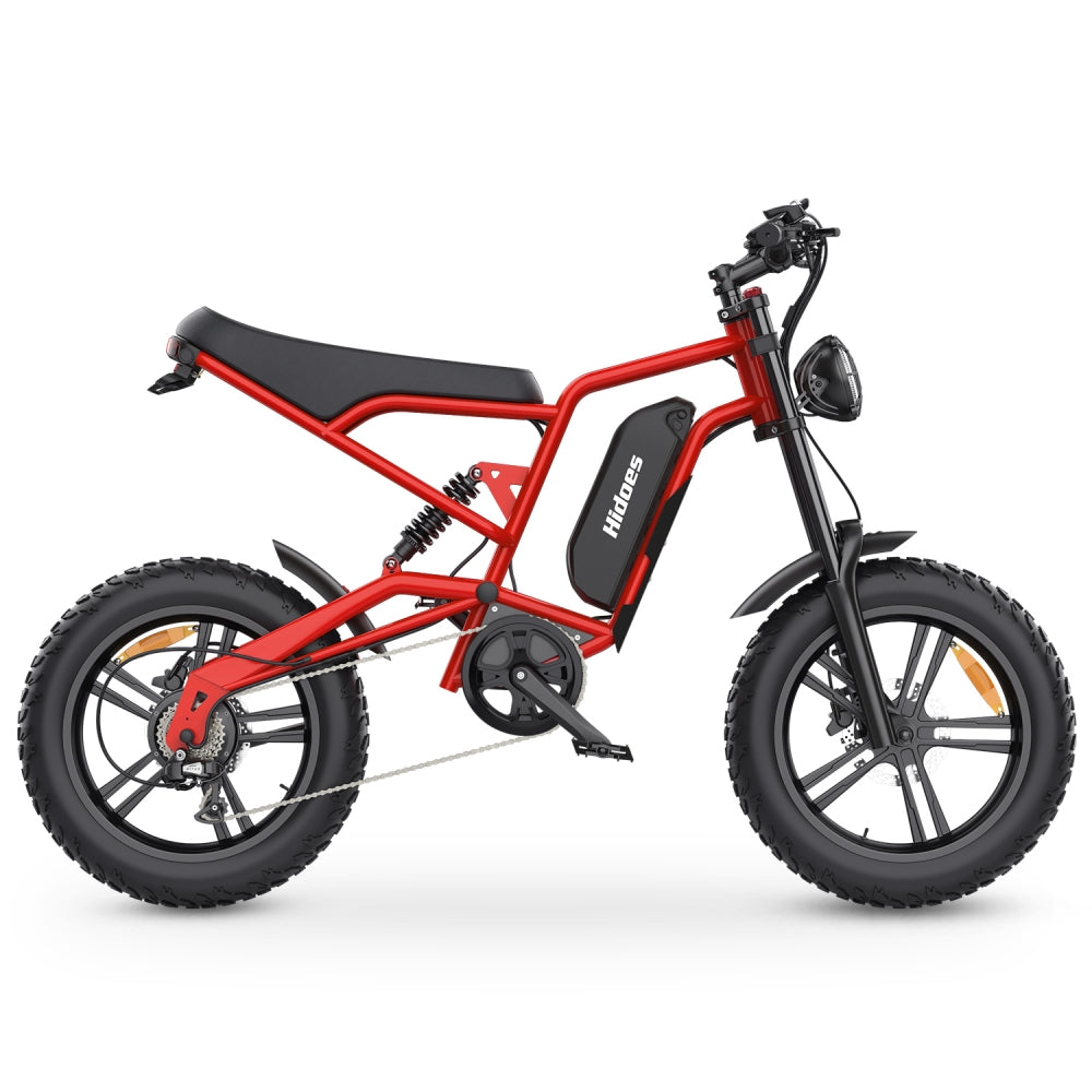 Hidoes B6 1200W 20" Fat Bike Electric Bike 48V 15Ah Battery