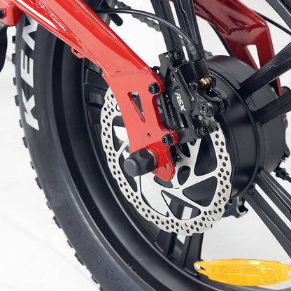 Hidoes B6 1200W 20" Fat Bike Electric Bike 48V 15Ah Battery