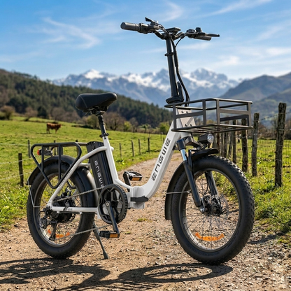 Engwe L20 SE 250W 20" Foldable Electric Trekking Bike 561Wh Step-through E-bike