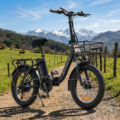 Engwe L20 SE 250W 20" Foldable Electric Trekking Bike 561Wh Step-through E-bike
