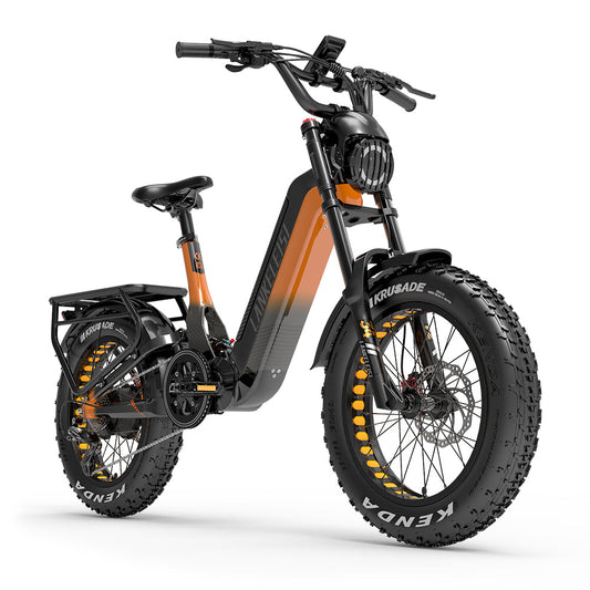 Lankeleisi RX800 Plus 1000W 20" Fat Bike Full Suspension Electric Bike 48V 20Ah Samsung Battery SUV E-Bike