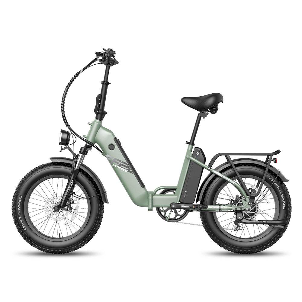 Fafrees FF20 Polar 500W Dual Batteries 10.4Ah*2 20" Foldable Electric Bike Fat Bike - Buybestgear